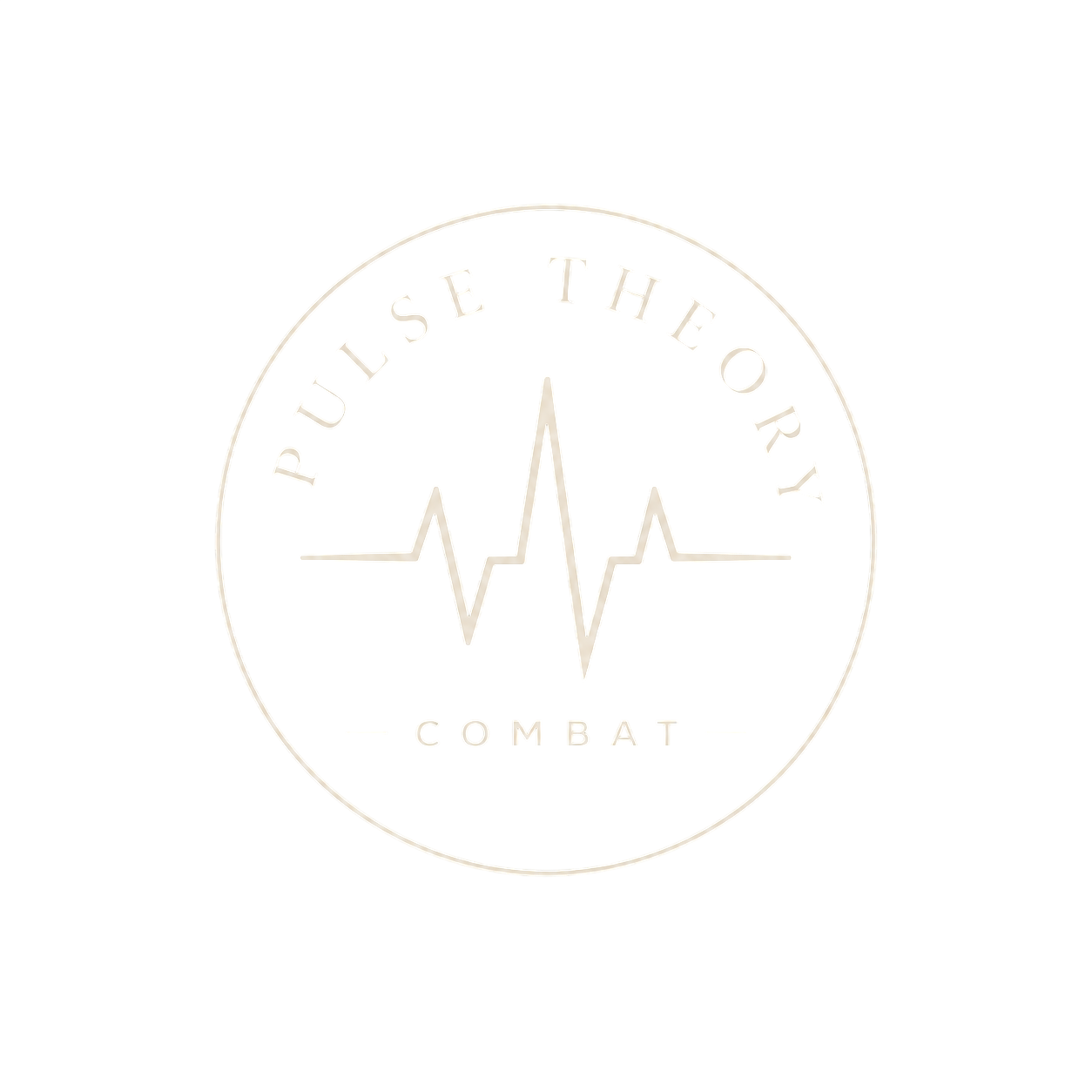 Pulse Theory Combat